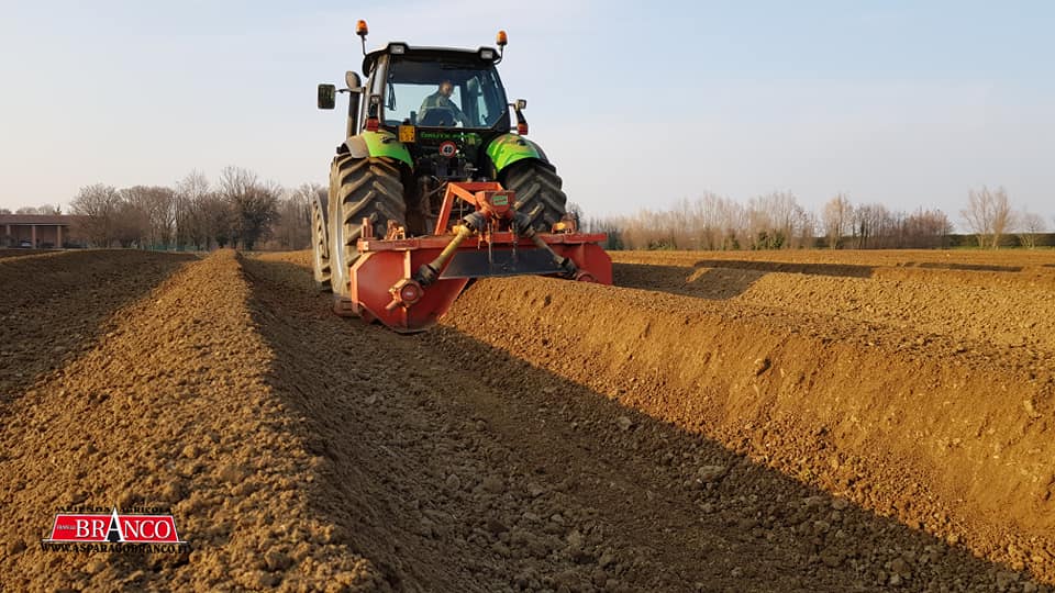 Preparazione del terreno per la stagione 2021 degli asparagi
